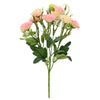 image variant Crema/Rosa