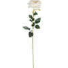 image variant Crema