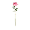 image variant Rosa