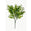 Fantasías Miguel Art.9114 Planta Fina X5 36cm 1pz Verde