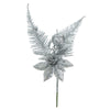 image variant Plata