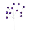 image variant Morado