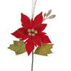 image variant Rojo