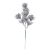 image variant Plata