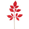 image variant Rojo