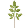 image variant Verde