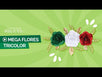Fantasías Miguel Clave:ML3025 Flores Tricolor