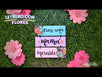 Fantasías Miguel Clave:ML3130 Letrero Con Flores Para Mamá