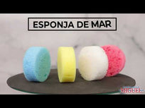 Art.7091 Esponja De Mar 8x3cm 1pz