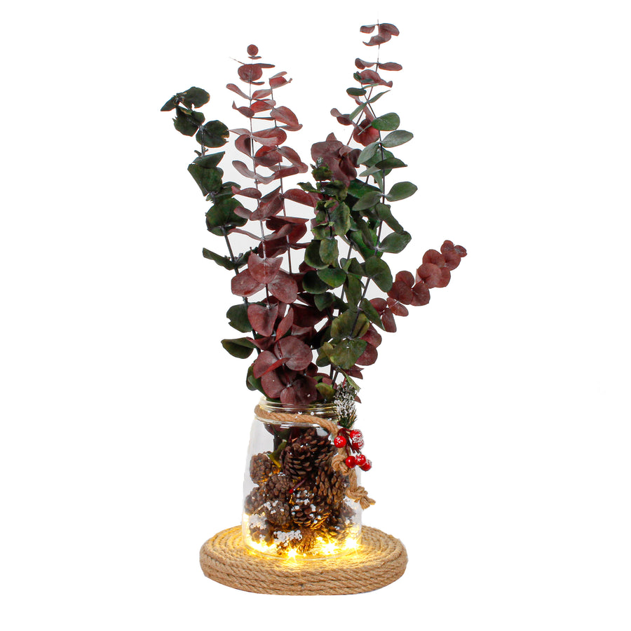 Art.6800 Bolsa Piñitas Naturales 8cm (Aprox) 6pz