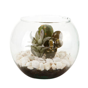 Pecera De Cristal Con Cactus Y Piedra Marmol