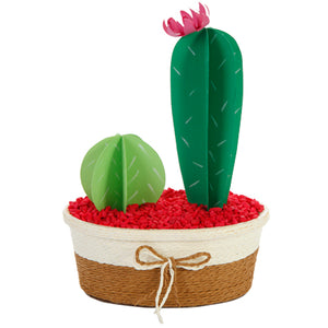 Adorno Base De Cordón Con Cactus