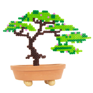 Bonsai