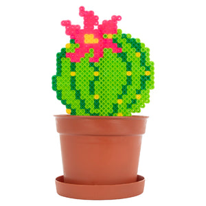 Maceta Cactus