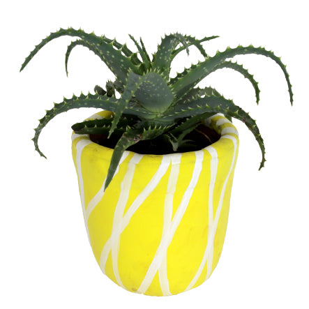 Decora Tu Habitación Fácil