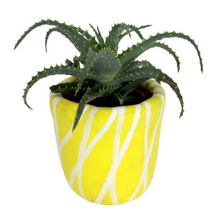 Decora Tu Habitación Fácil