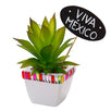 Fantasías Miguel Clave:IM1198 Maceta Con Cactus Viva México