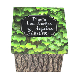 Caja Planta Tus Sueños