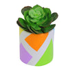 Fantasías Miguel Clave:ML2780 Maceta Con Cactus Multicolor