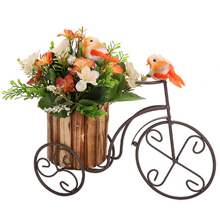 Triciclo Con Pajaritos