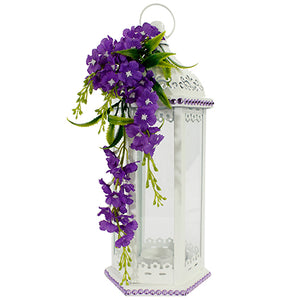 Quinque Con Jacinto Morado