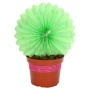 Cactus De Papel