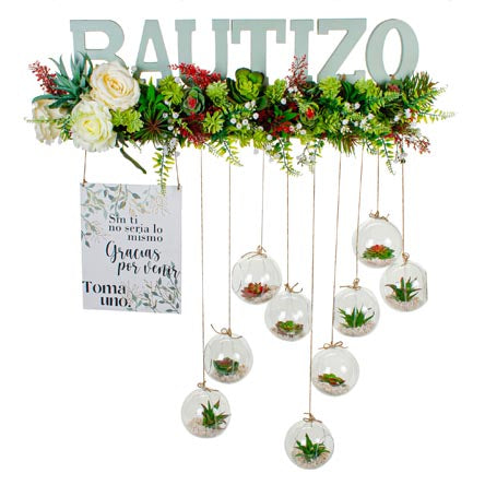 Recuerdos Esferas Con Suculentas Bautizo